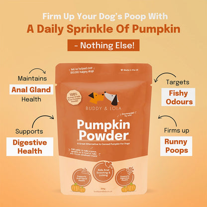 Pumpkin Powder For Dogs