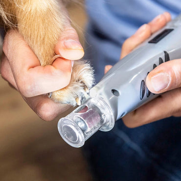 Electric Pet Nail Grinder