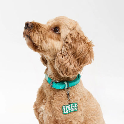 Stylish Spoilt Rotten ID Tag