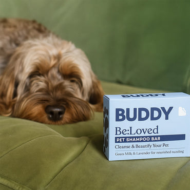 Buddy Glow Up Bar