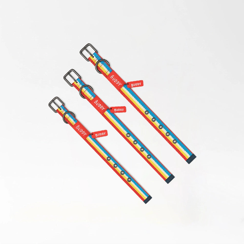Buddy Rainbow Stripe Collar