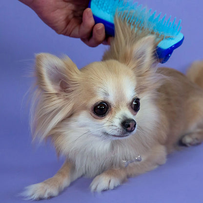 Compact Pet Grooming Brush