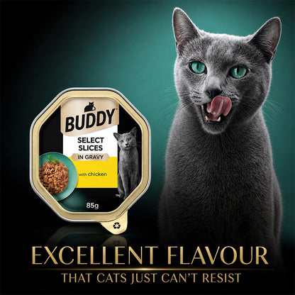 Chicken Gravy Cat Food