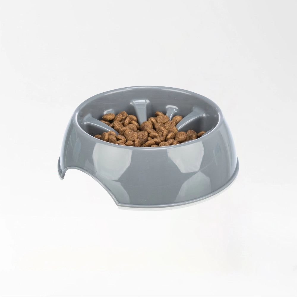 Healthy Slow Feeding Bowl