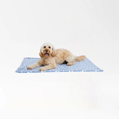 Soft Plush Pet Blanket