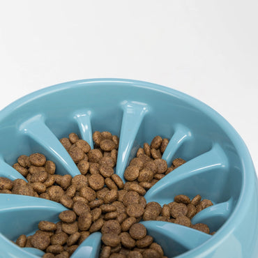 Healthy Slow Feeding Bowl