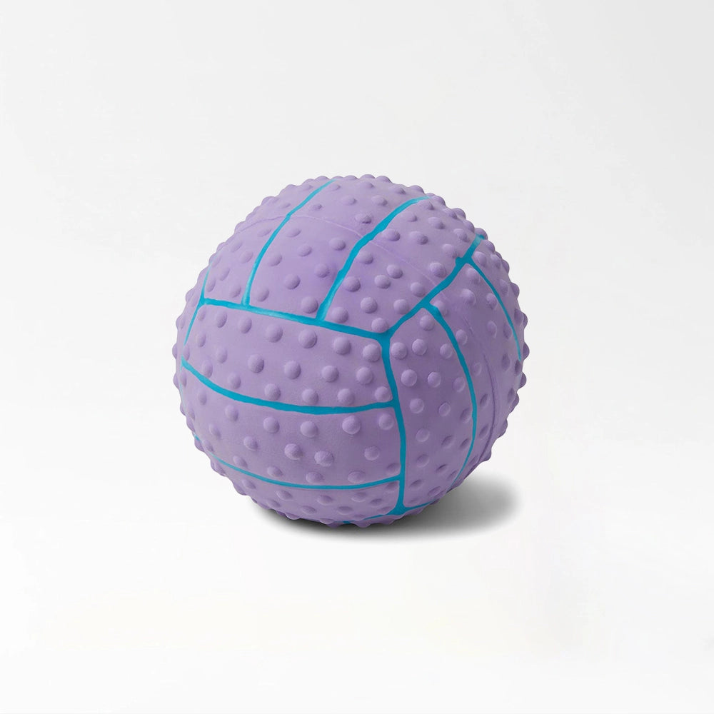 Textured Rubber Dog Balls