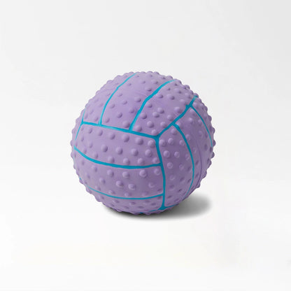 Textured Rubber Dog Balls